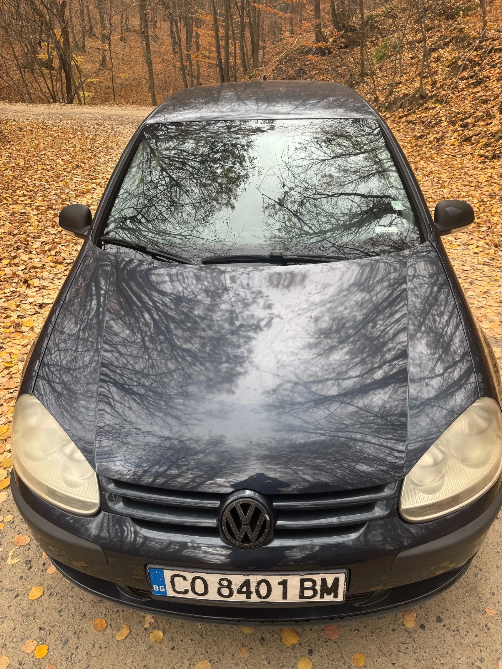 VW Golf VW GOLF V 1.9TDI - изображение 6