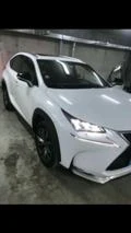 Lexus NX NX 300 X  Fsport, снимка 1