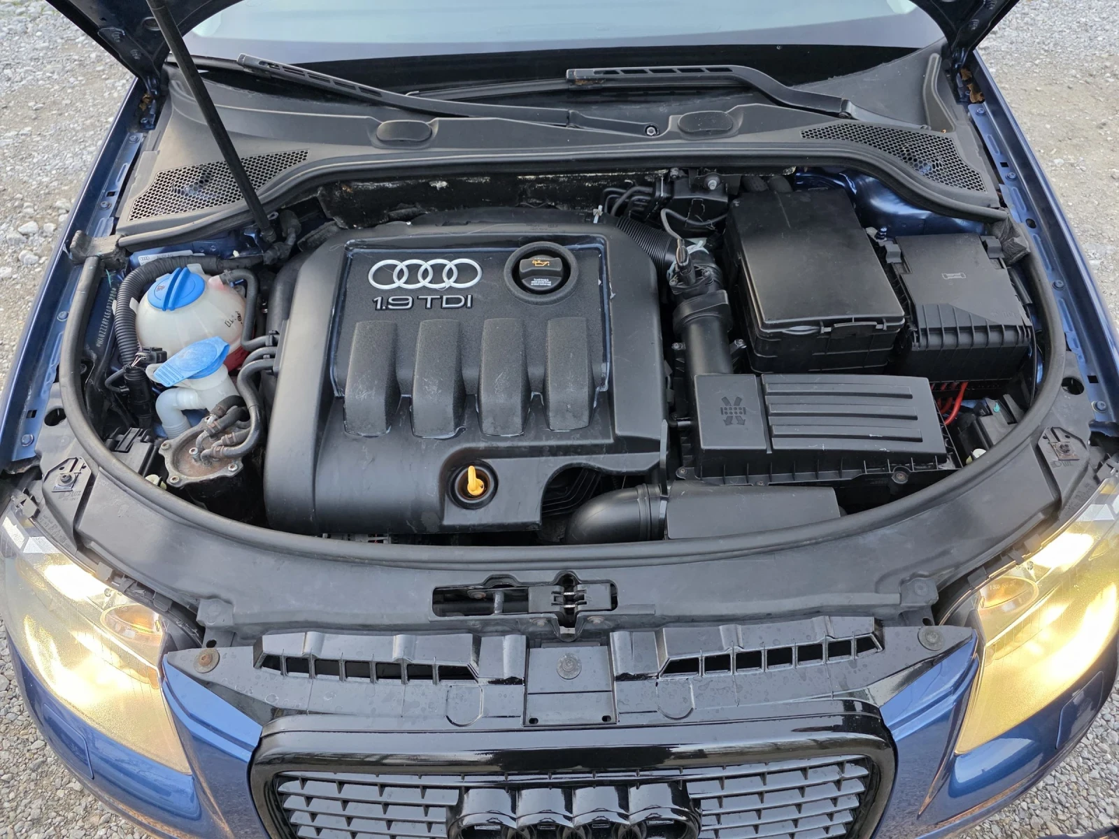 Audi A3 SPORTBACK 1.9 TDI 105 ..  /   | Mobile.bg   17