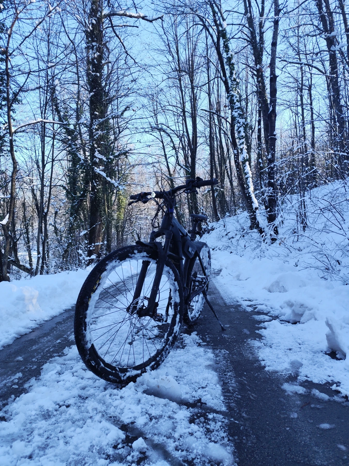 ������� ������������ ������ | Mobile.bg � ����������� 6