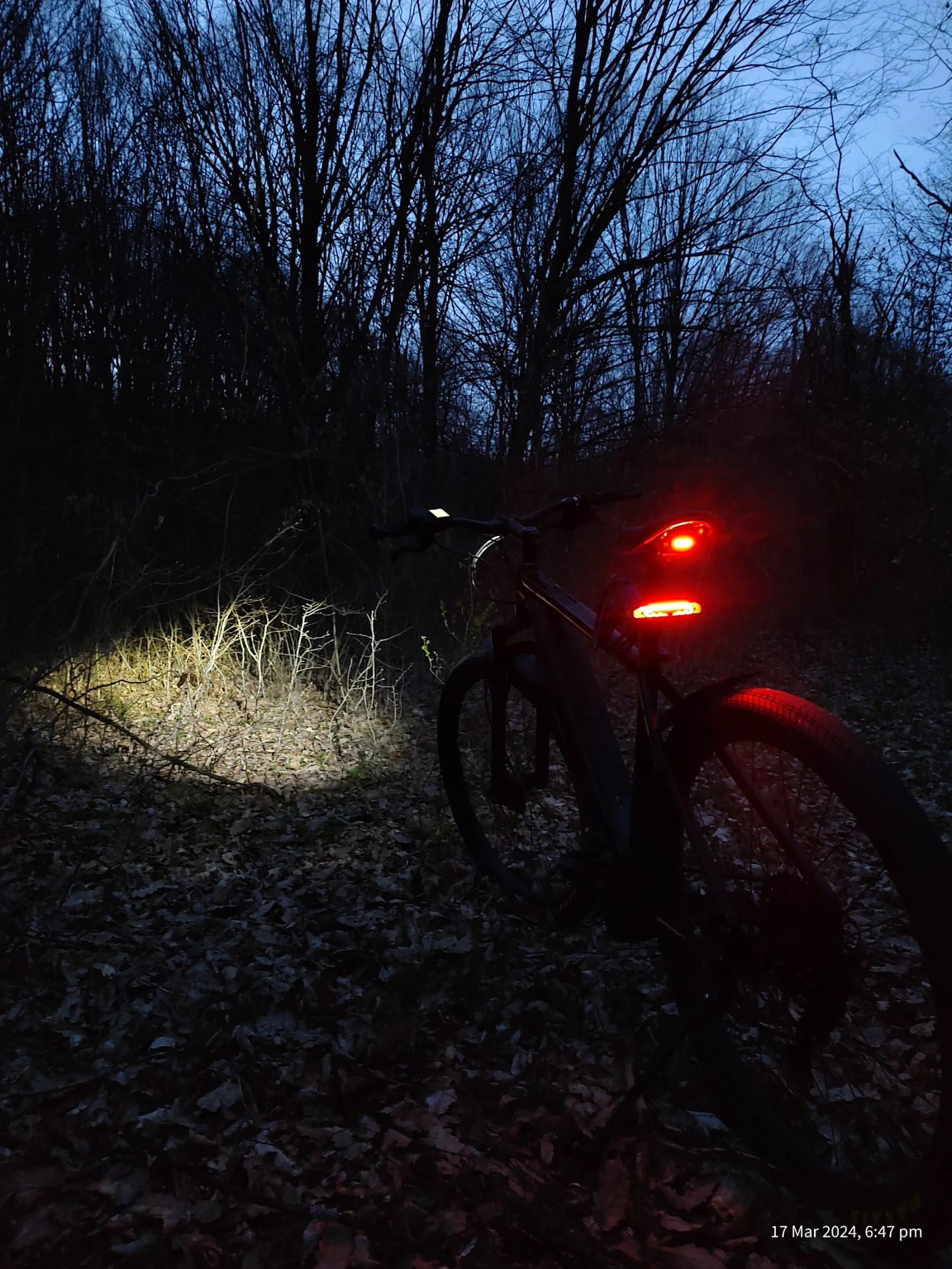 ������� ������������ ������ | Mobile.bg � ����������� 5