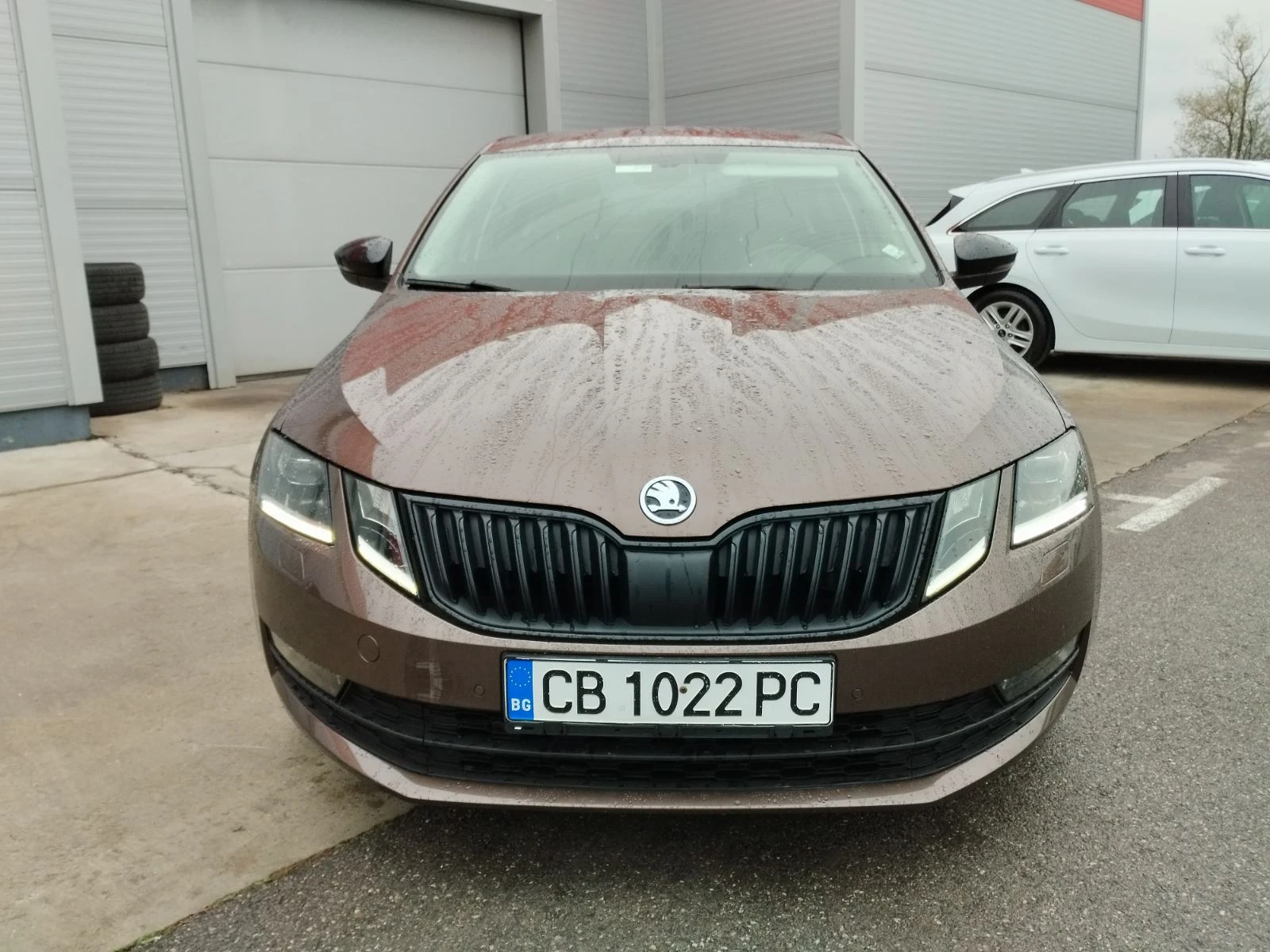 Skoda Octavia 1.5 tsi - изображение 2