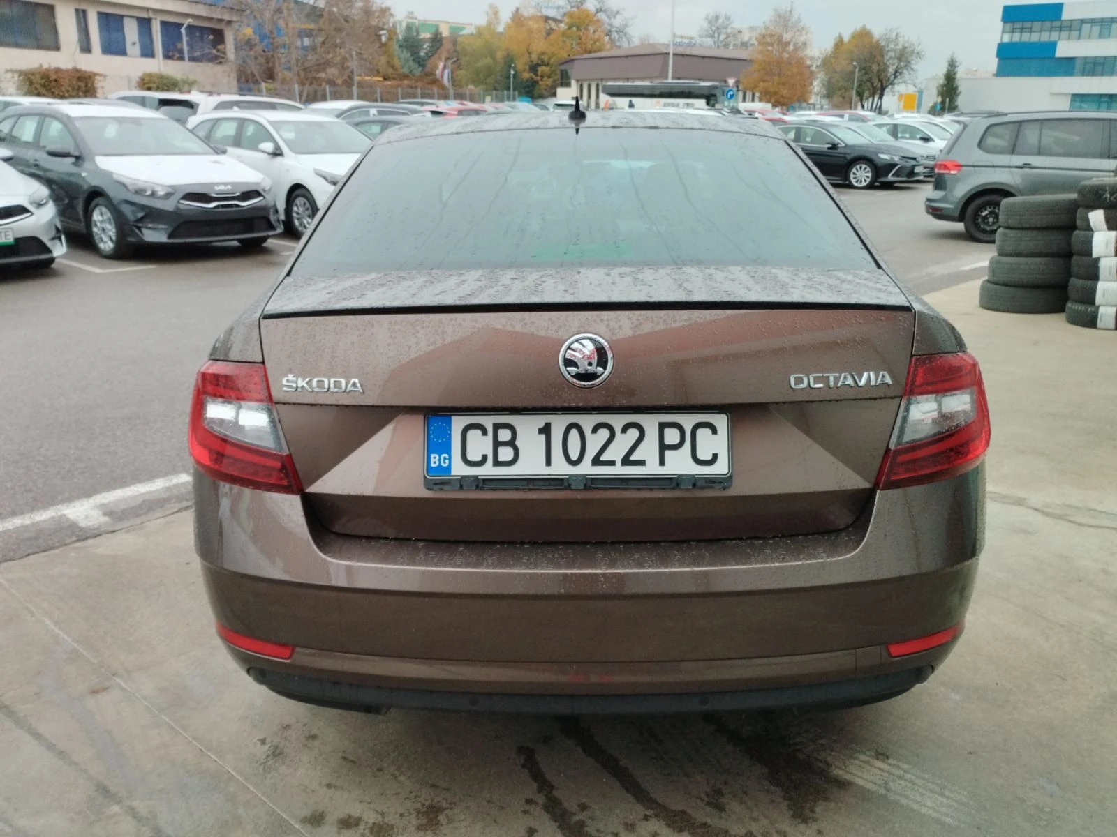 Skoda Octavia 1.5 tsi - изображение 5