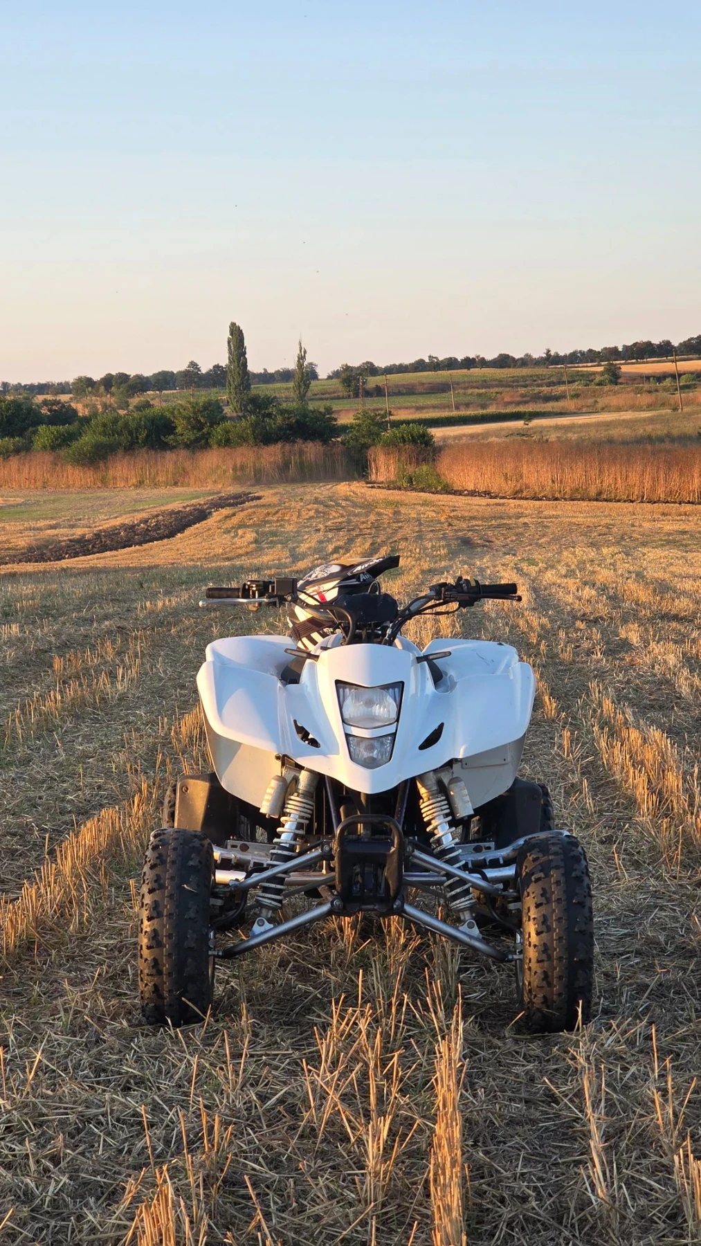 Suzuki QuadSport LTZ-400 TOP