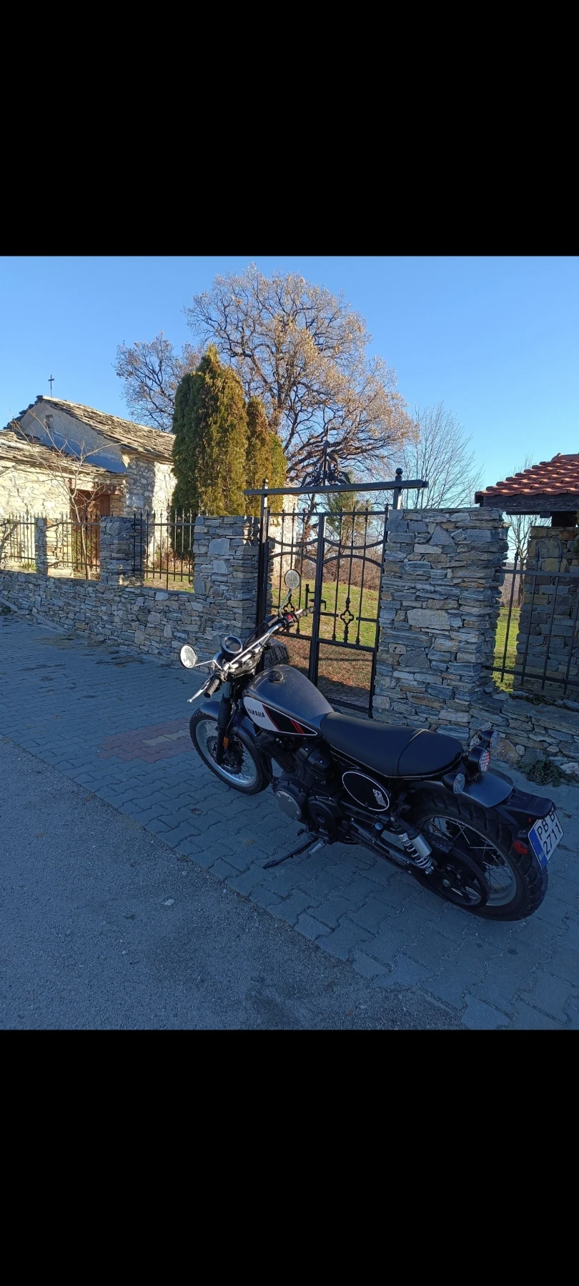 Yamaha Bolt YAMAHA SCR 950 2017г - изображение 4