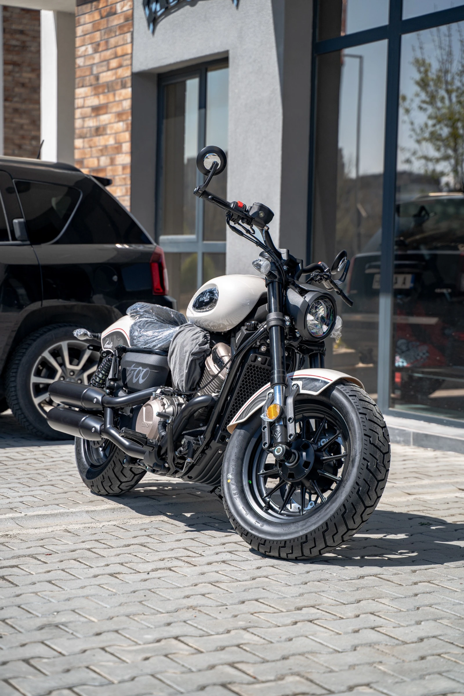 Benda Chinchilla 500