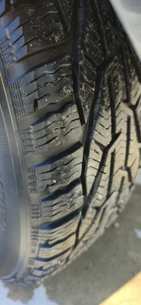 Lancia Musa, снимка 6