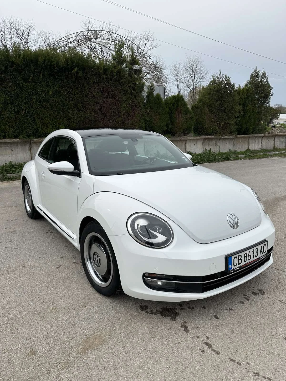 VW Beetle oт Порше София - изображение 2