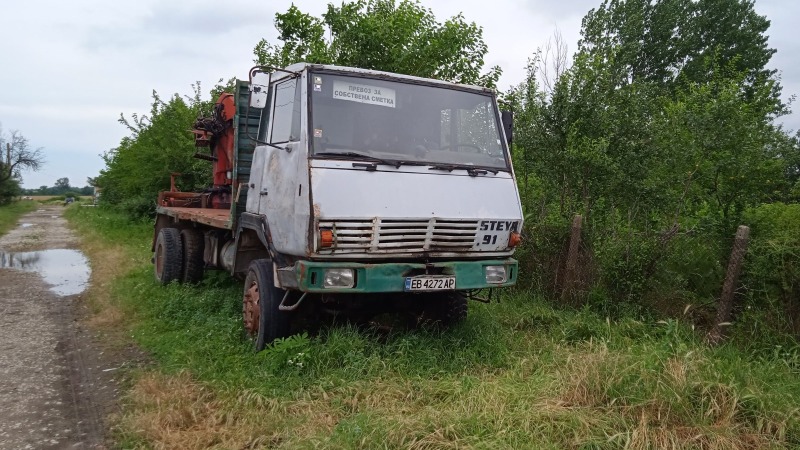 Steyr 1291 Кран, снимка 1 - Камиони - 46199738