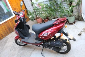      Riya Ry 50cc