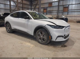 ������ Ford Mustang