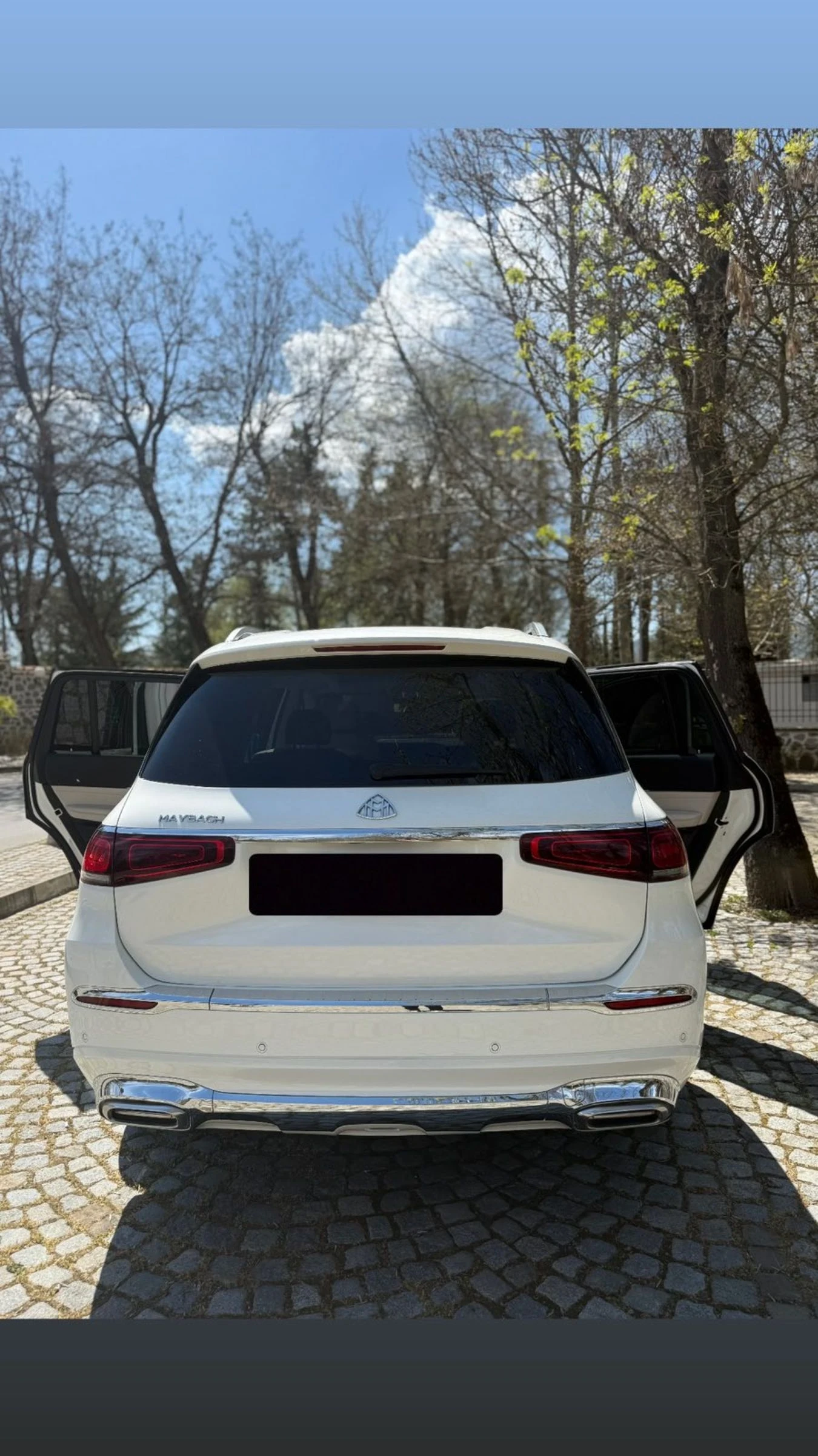Mercedes-Benz Maybach Gls450 - изображение 10