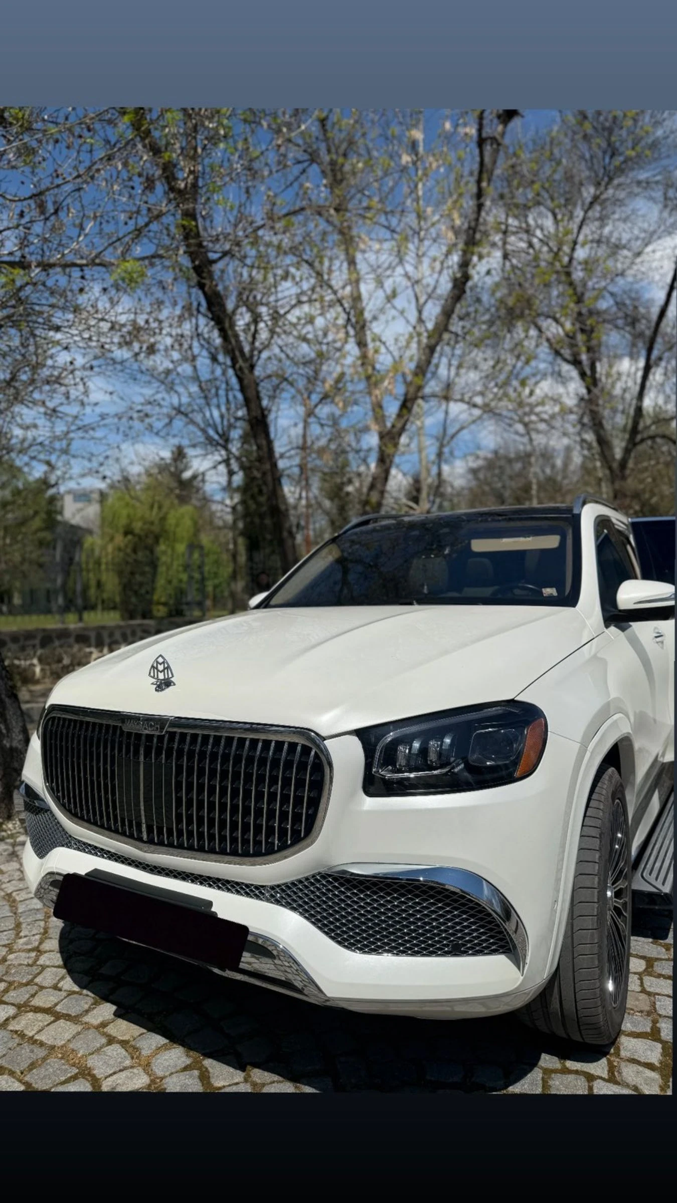 Mercedes-Benz Maybach Gls450 - изображение 3