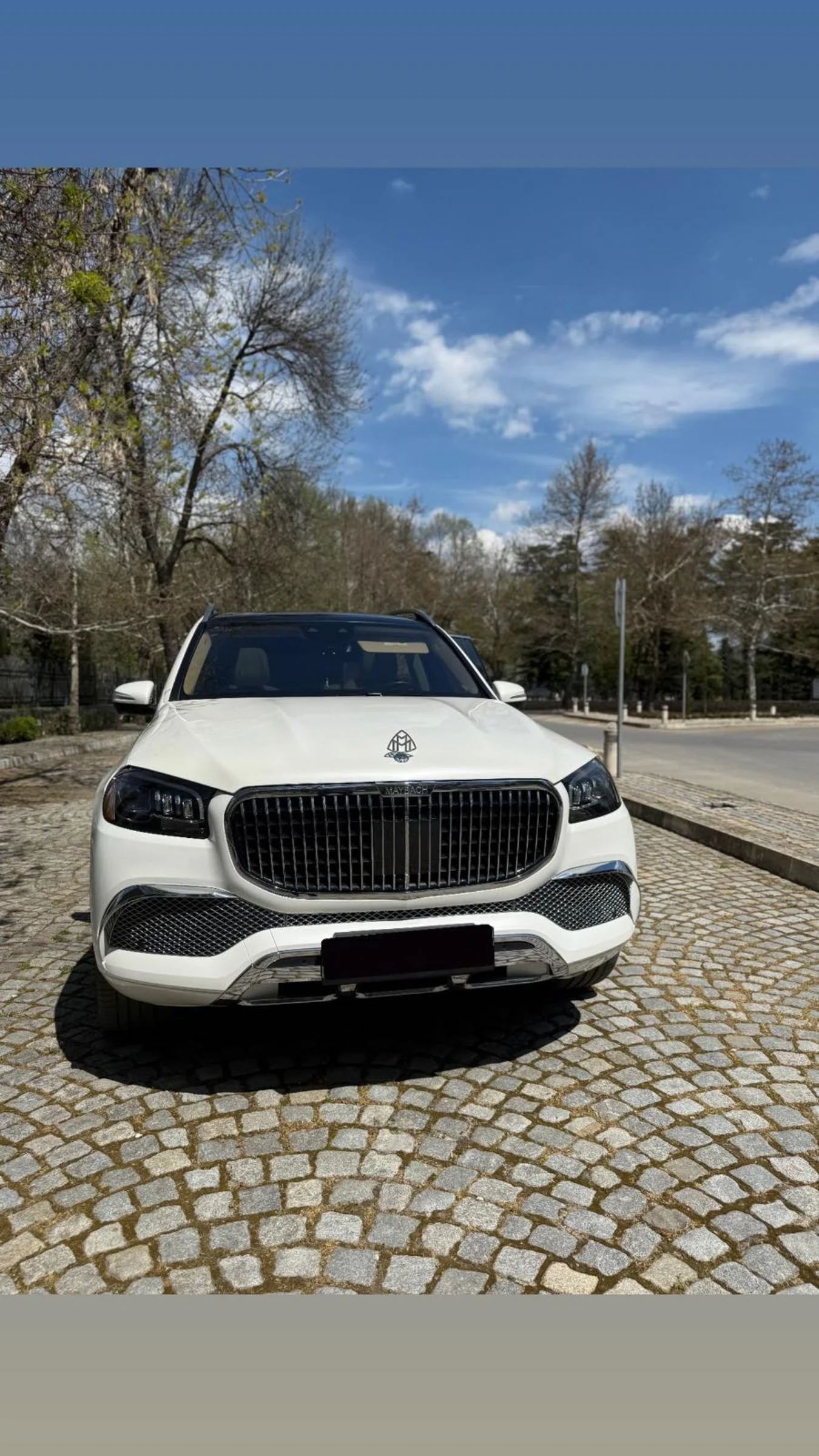 Mercedes-Benz Maybach Gls450 - изображение 2