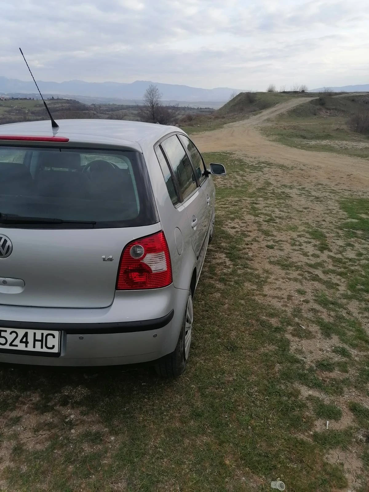 VW Polo