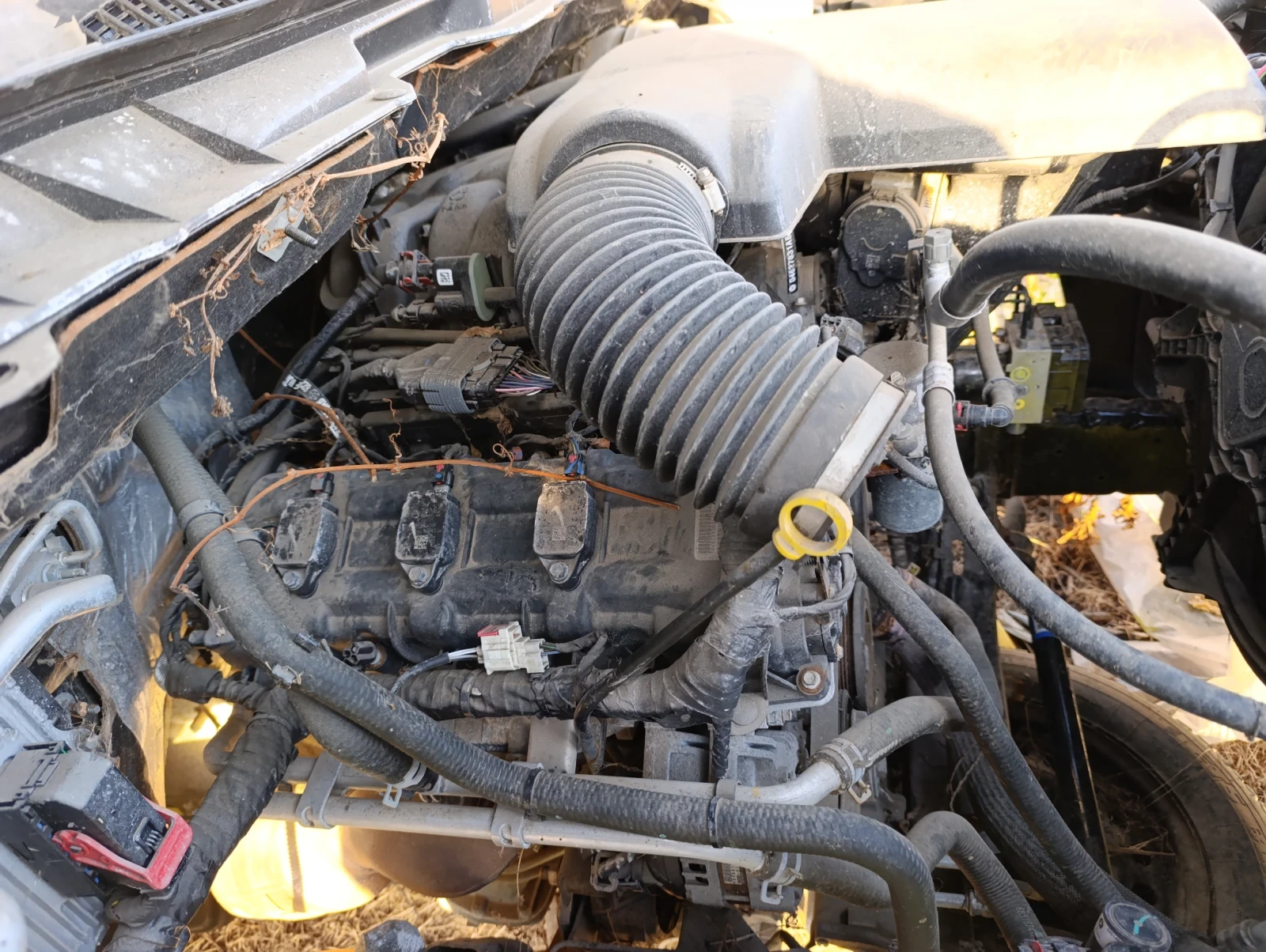 Dodge RAM 1500 Ram 3.6 | Mobile.bg � ����������� 5