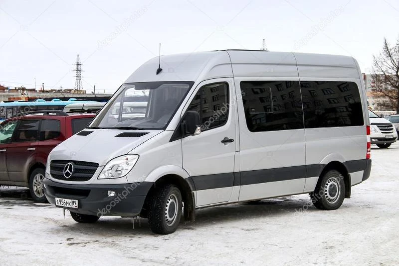 Mercedes-Benz Sprinter w906-50 броя Нови двигатели, снимка 2 - Бусове и автобуси - 38017848