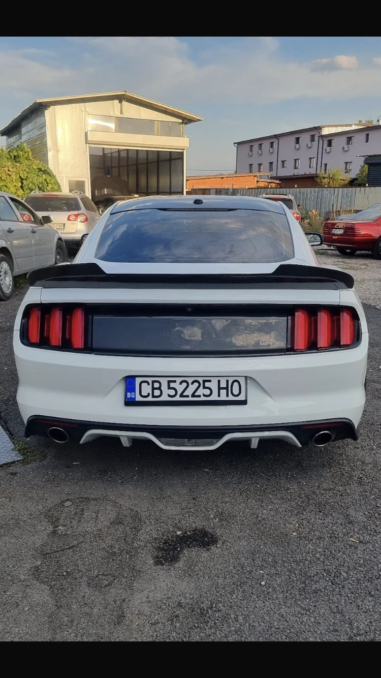 Ford Mustang GT 5000 - изображение 5