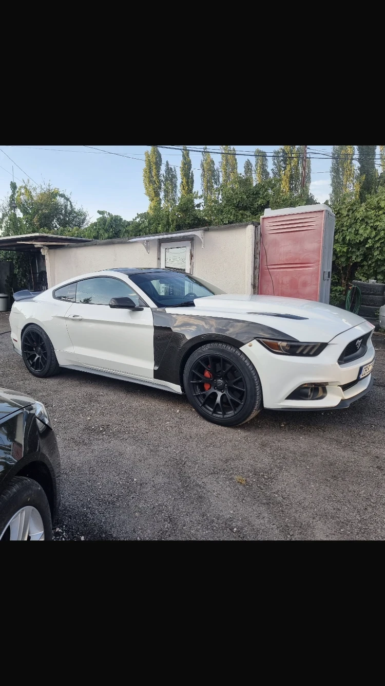 Ford Mustang GT 5000 - изображение 2