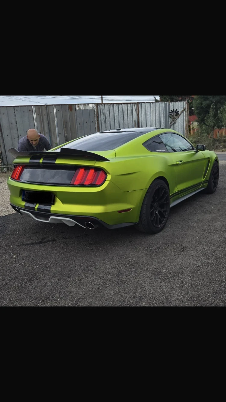 Ford Mustang GT 5000 - изображение 6