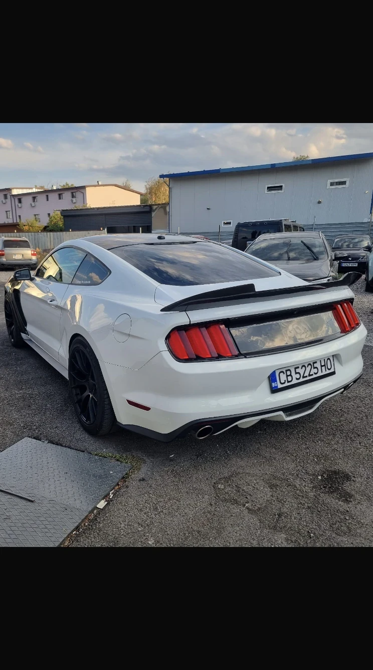 Ford Mustang GT 5000 - изображение 4