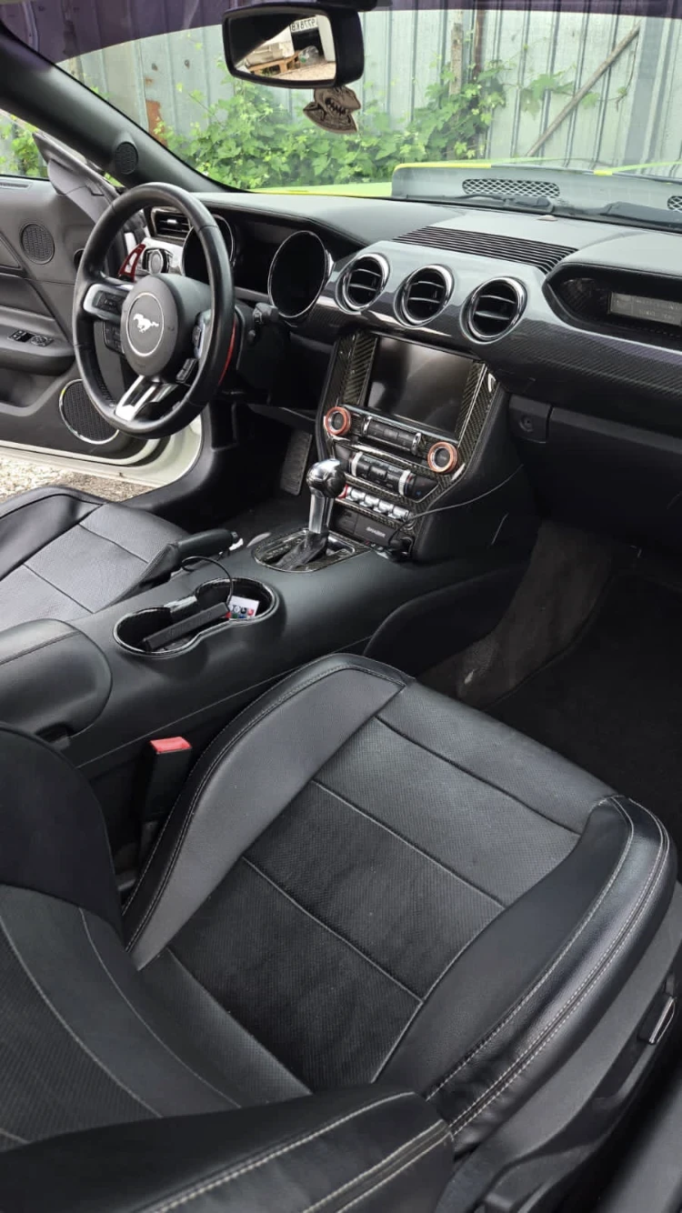 Ford Mustang GT 5000 - изображение 8