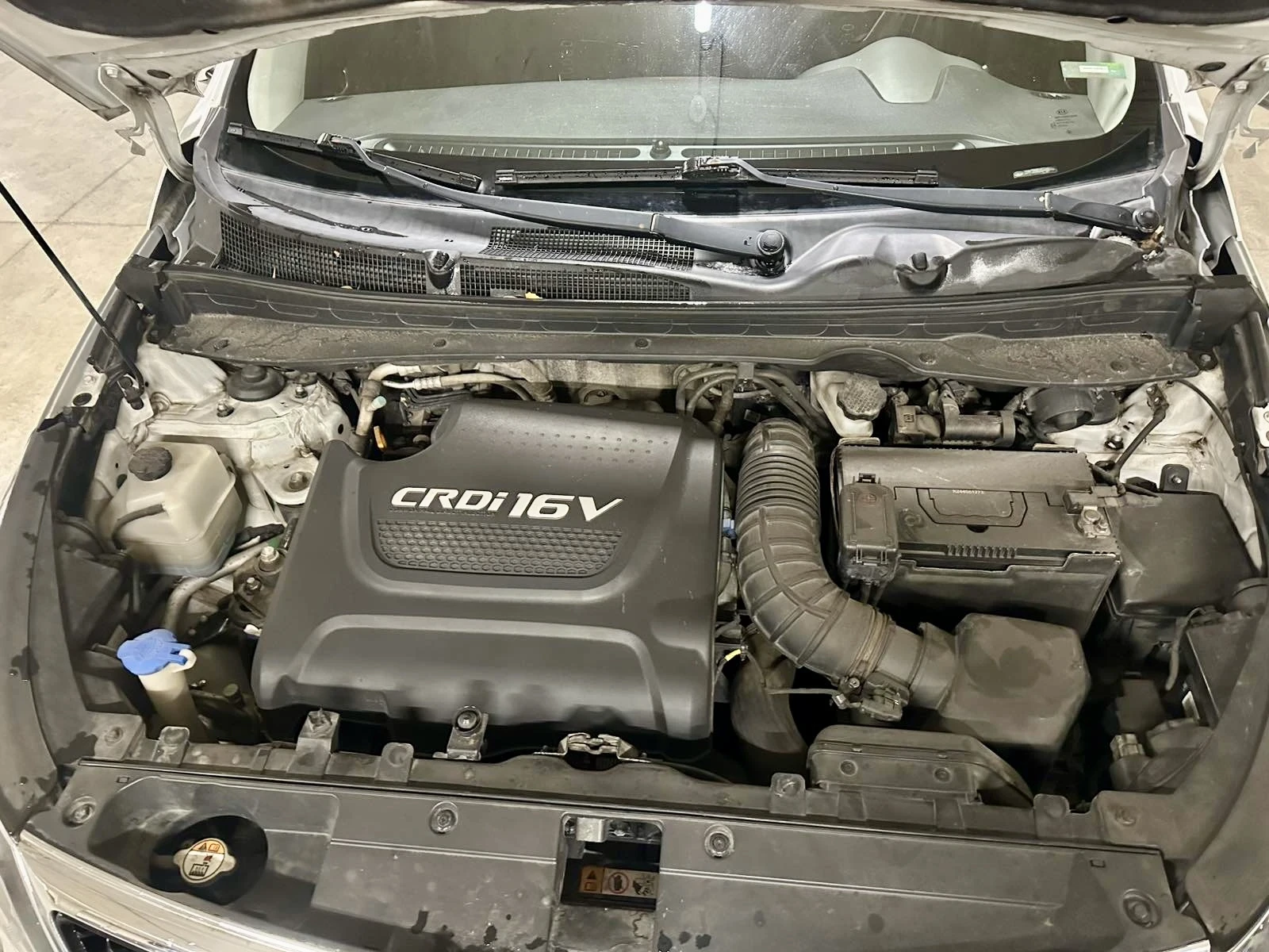 Kia Sportage | Mobile.bg � ����������� 12