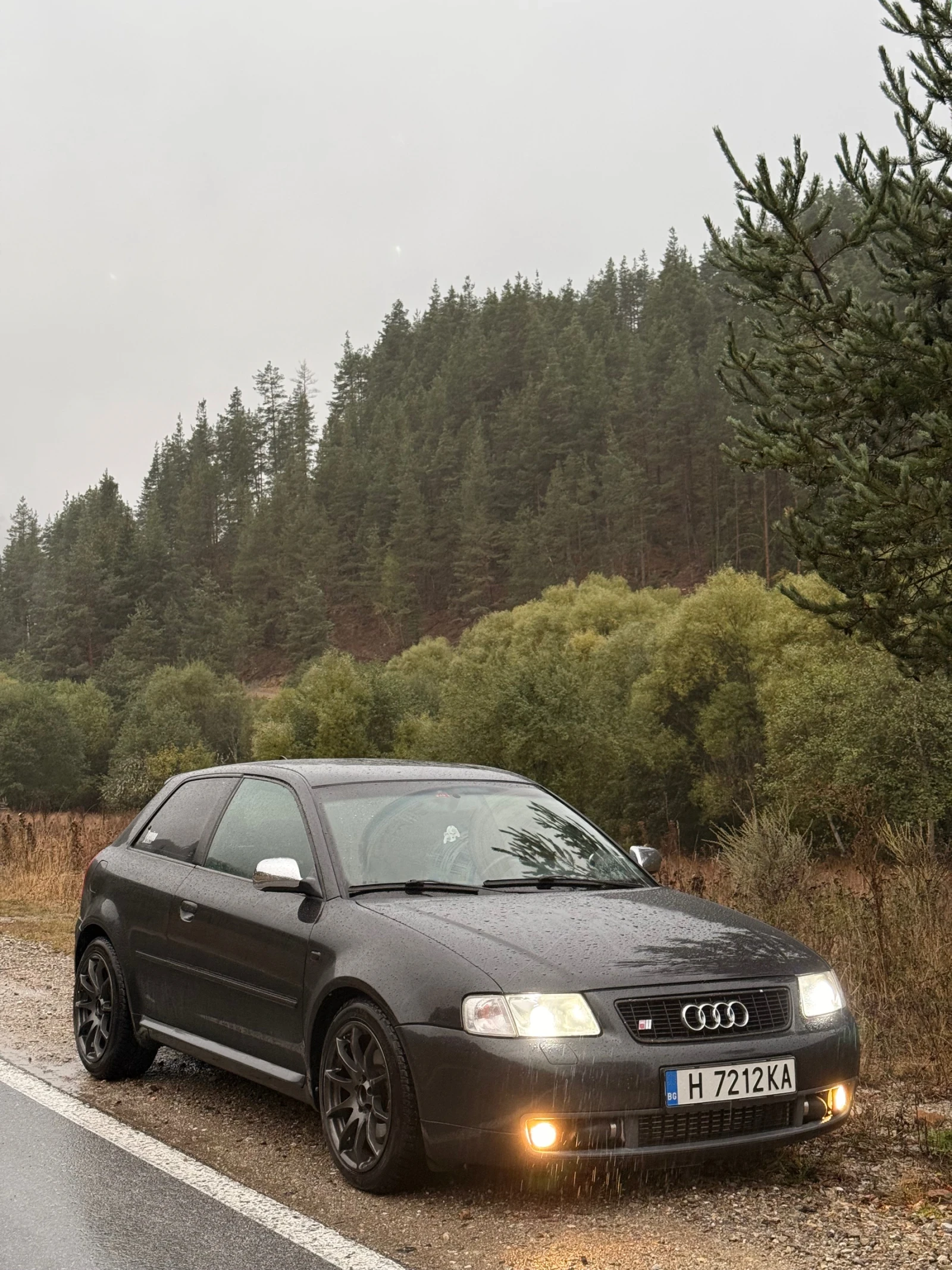 Audi S3 1.8t 280 к.с., снимка 1