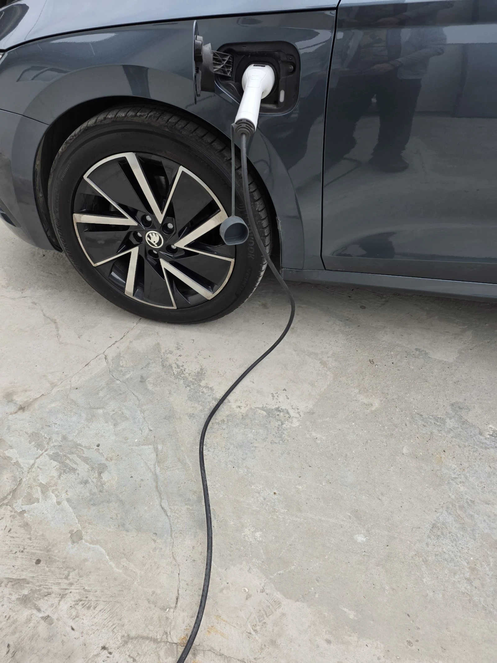 Skoda Octavia IV, снимка 11 - Автомобили и джипове - 54228260