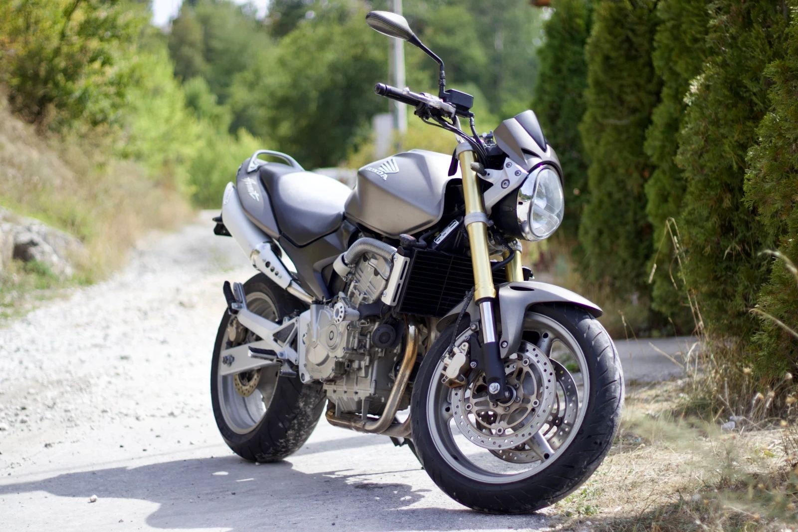 Honda Hornet