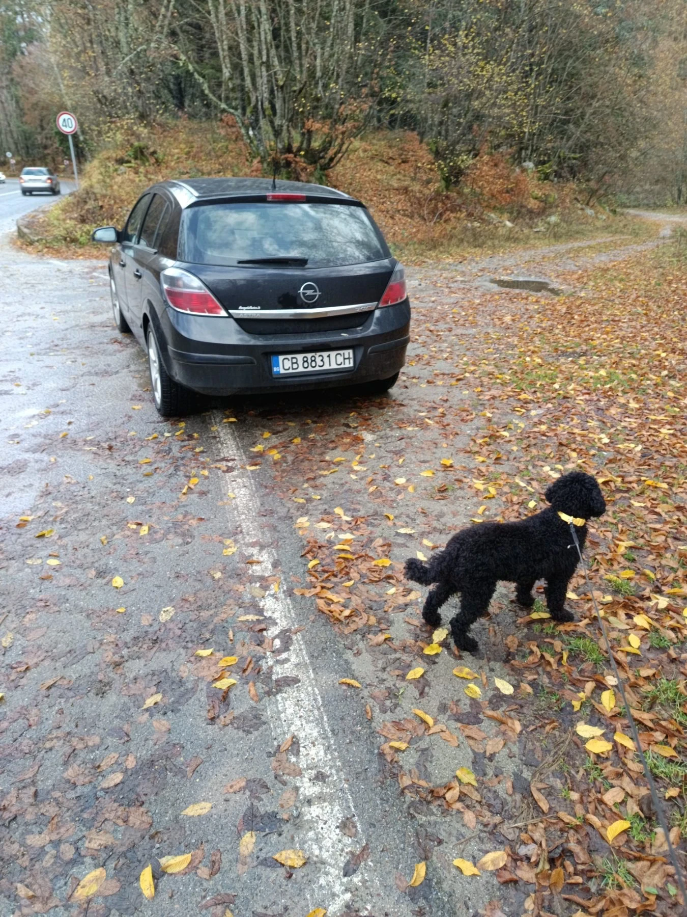 Opel Astra 1.7 - изображение 4