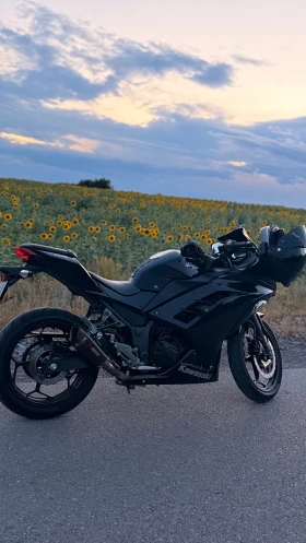 Kawasaki Ninja 300 ABS 2016 A2, снимка 3