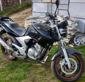 Yamaha YBR, снимка 7