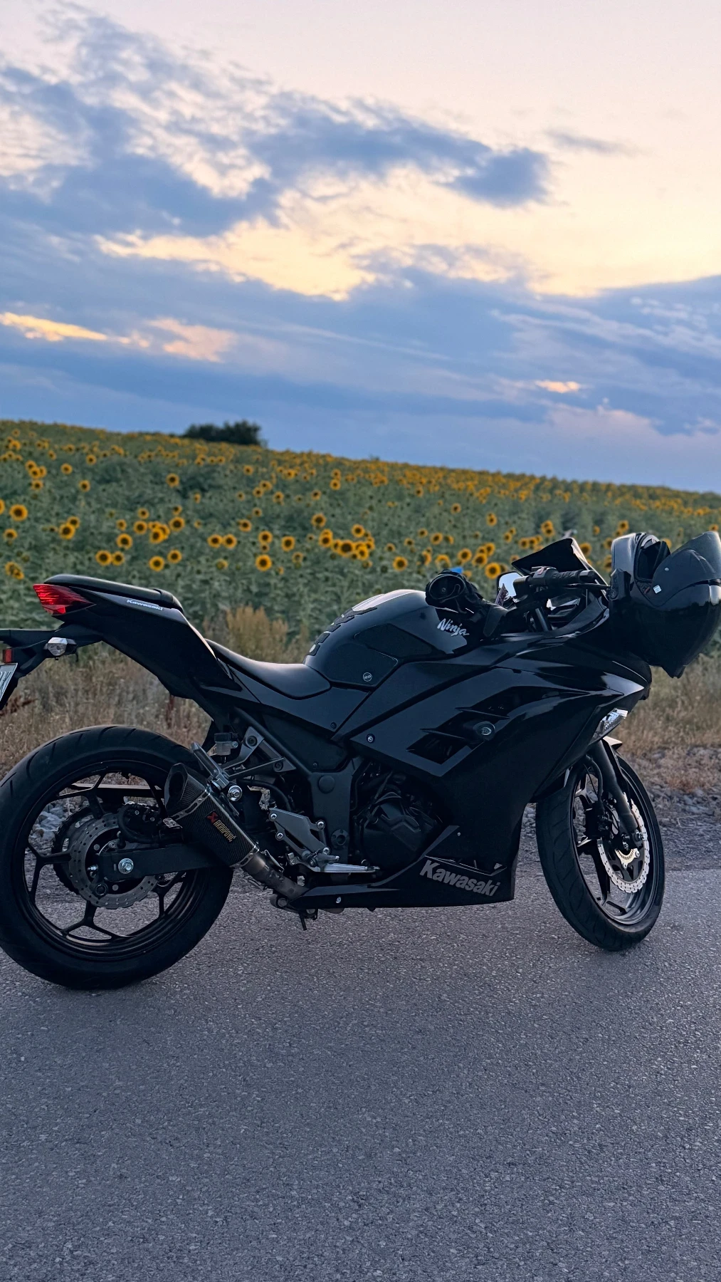 Kawasaki Ninja 300 ABS 2016 A2, снимка 3 - Мотоциклети и мототехника - 55893558