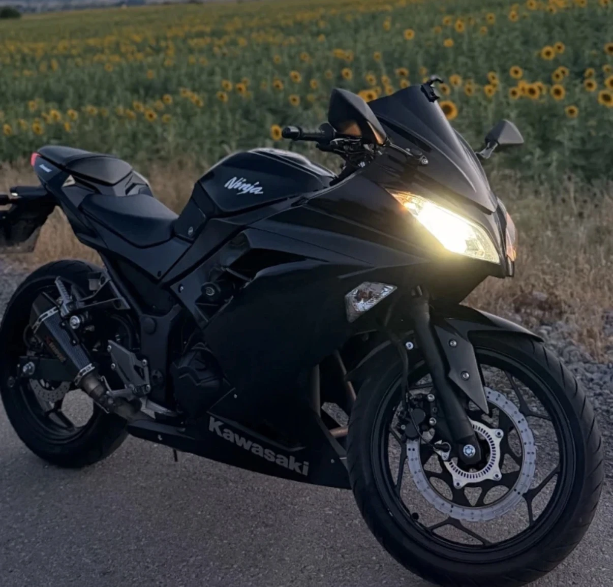 Kawasaki Ninja 300 ABS 2016 A2
