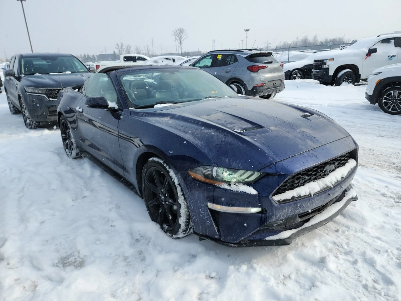 Ford Mustang * ECOBOOST PREMIUM * CARFAX * ПОДГРЕВИ* ОБДУХВАНЕ, снимка 2 - Автомобили и джипове - 53733727