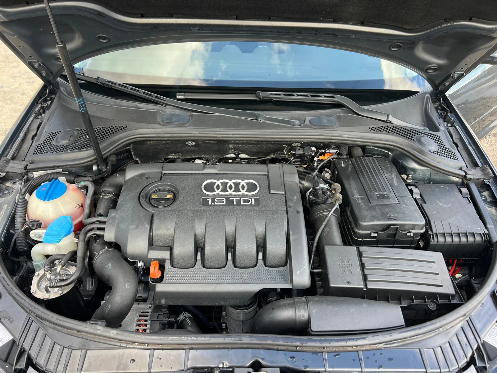 Audi A3 Sportback/ Facelift/ 1.9TDI-105к.с./ Климатроник, снимка 16 - Автомобили и джипове - 54169002