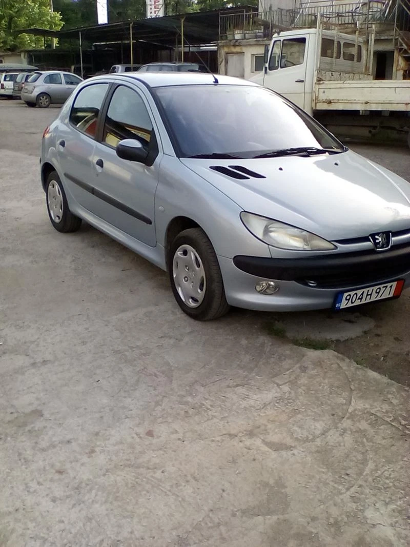 Peugeot 206 1.4HDI - изображение 3