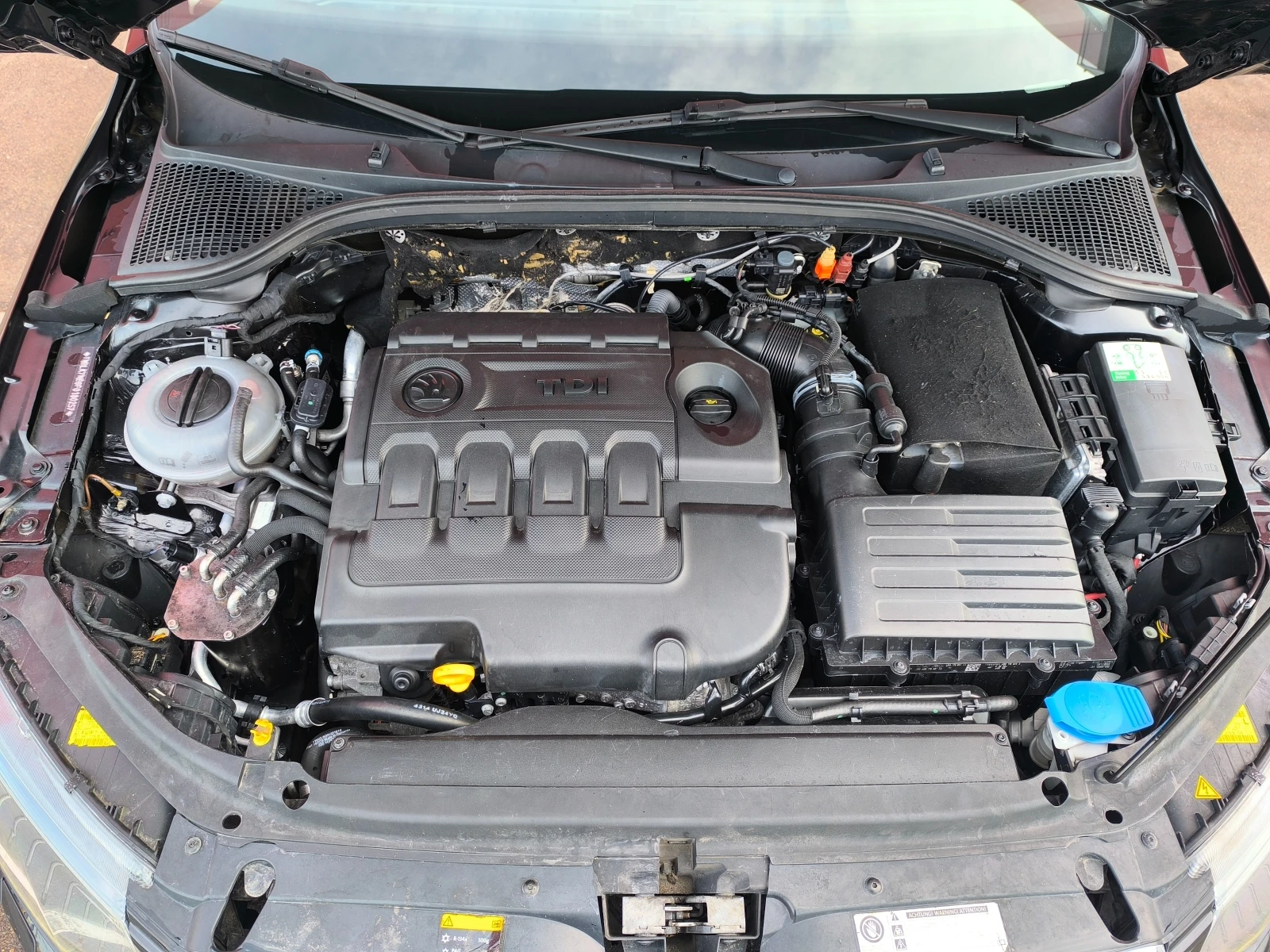 Skoda Octavia SCOUT DSG 6 - изображение 6