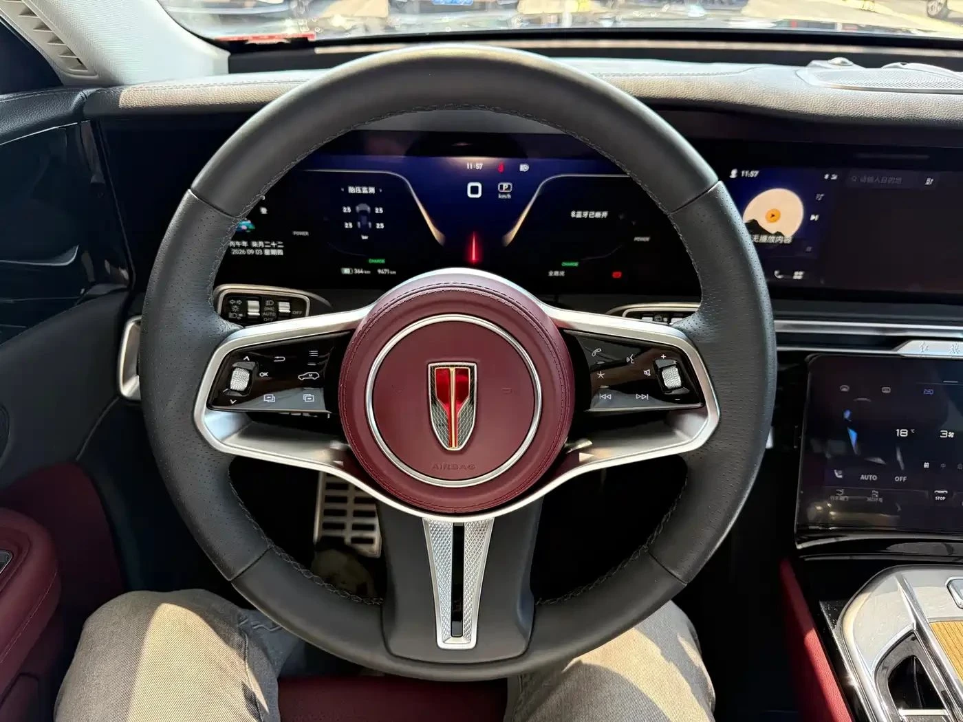 HongQi E-HS9 | Mobile.bg � ����������� 8