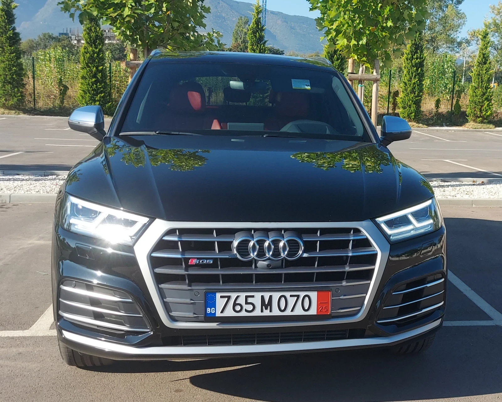 Audi SQ5 3.0 TFSI - изображение 9
