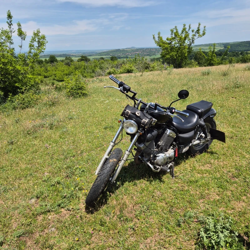 Yamaha Virago 535, снимка 3 - Мотоциклети и мототехника - 52889599
