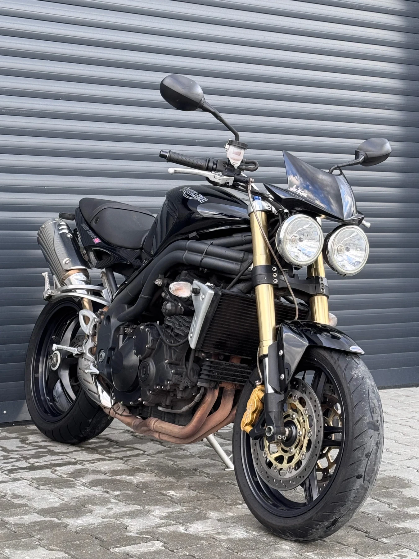 Triumph Speed Triple  - изображение 3