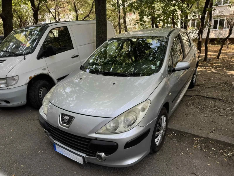 Peugeot 307, снимка 1 - Автомобили и джипове - 47209068