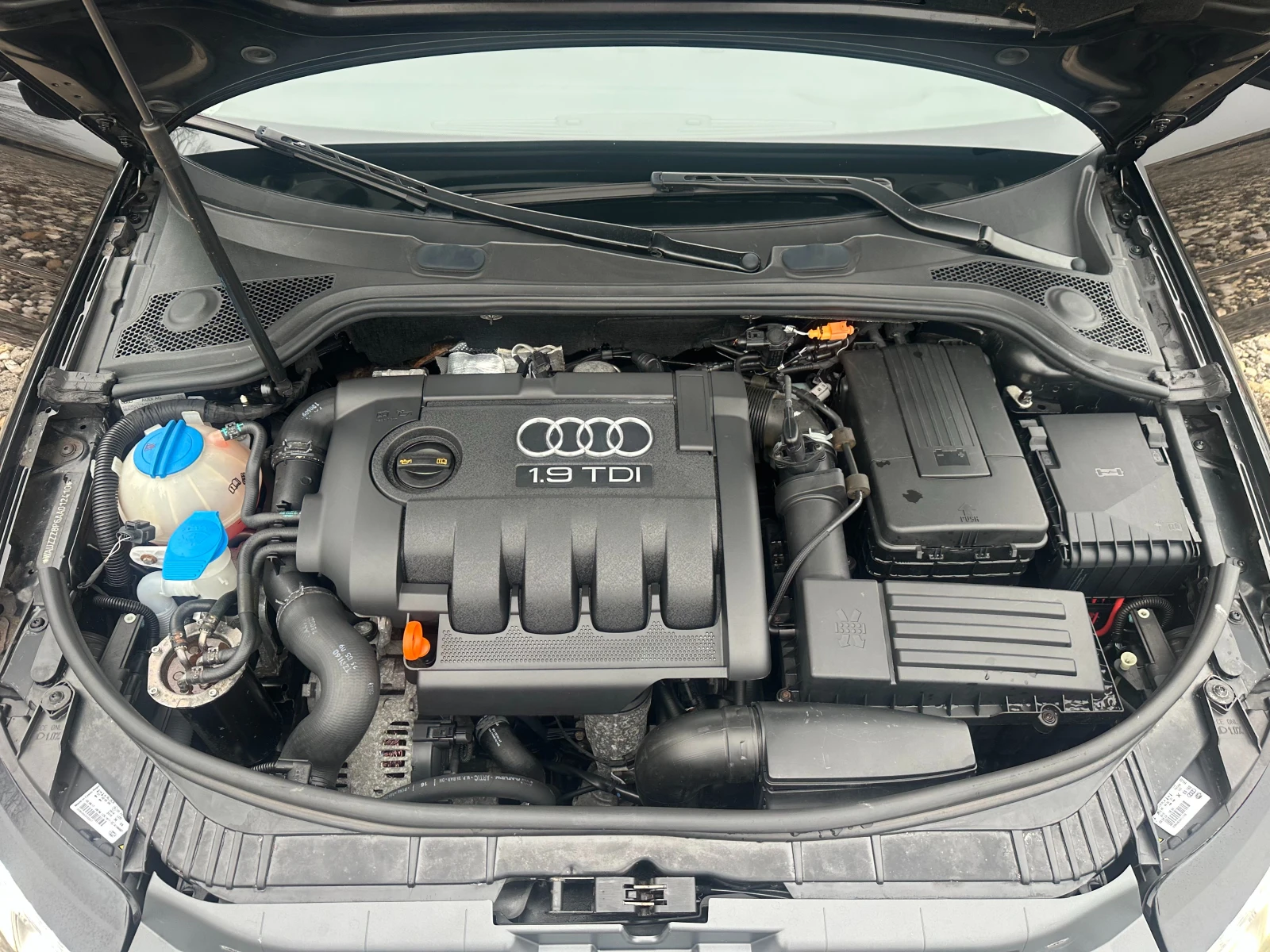 Audi A3 1.9TDI 105kc FACE | Mobile.bg � ����������� 16