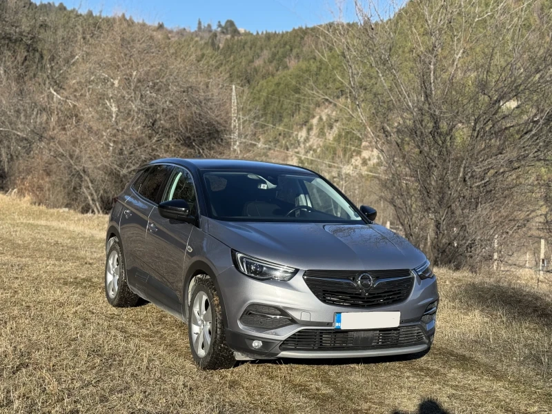 Opel Grandland X, снимка 2 - Автомобили и джипове - 48551084