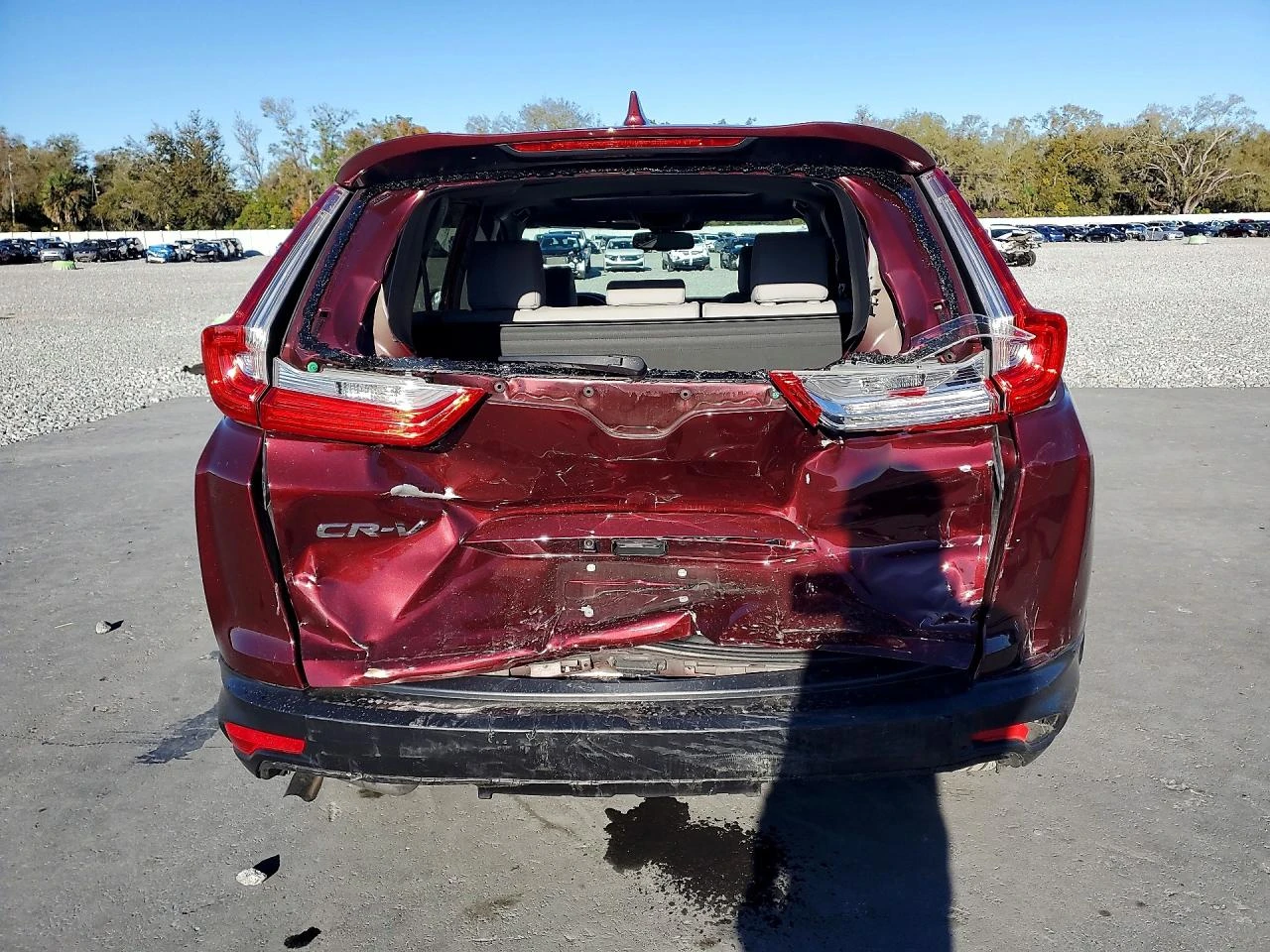 Honda Cr-v 1.5l Exl, снимка 6 - Автомобили и джипове - 53923204