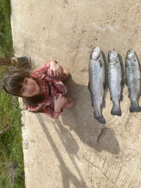 Suzuki Swift 1, 3 16V  - 650 € / 1271.29 лв. - 15638394 14