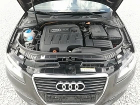 Audi A3 1.6TDI S LINE NAVI KLI. - 12200 лв. - 54505148 17
