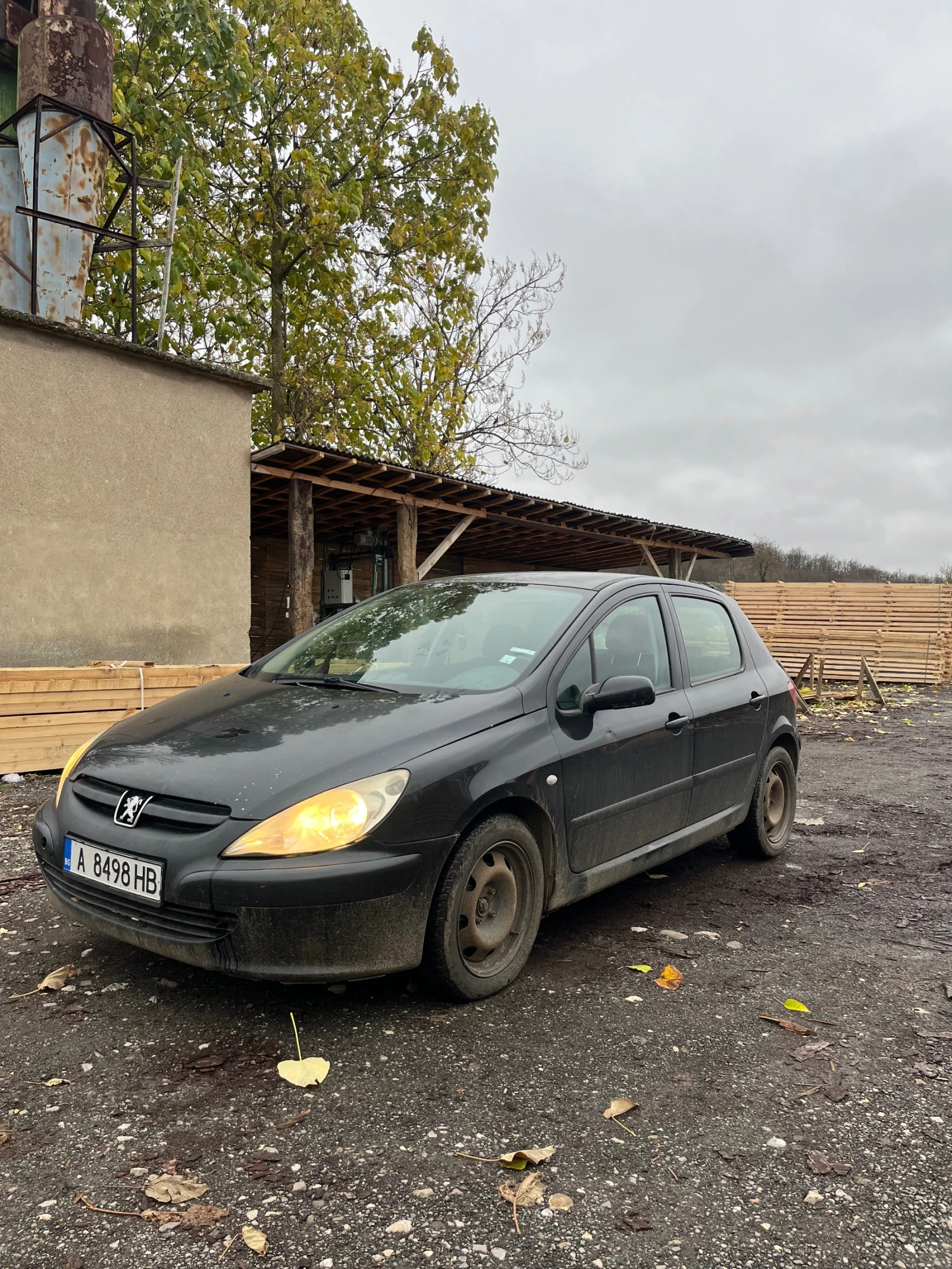 Peugeot 307, снимка 1